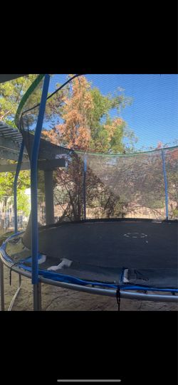 Trampoline big