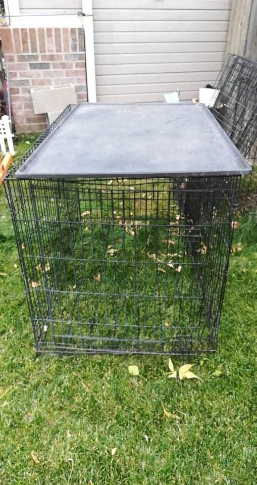 Dog Crate/ Wire Needs To Be Straighten At One Corner /