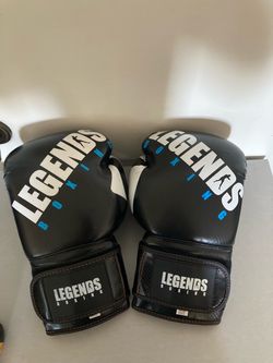 Boxing gloves 14 oz