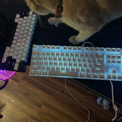 Magegee Gaming Keyboard 