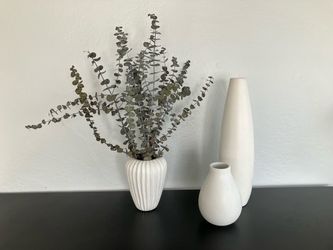 West Elm Vases