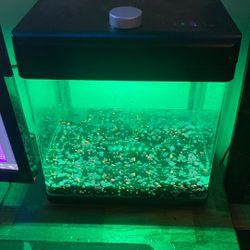 Led Betta Fish Tank
