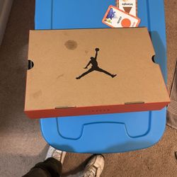 Air Jordan 12 