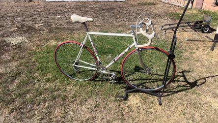 Bottechia  classic bike