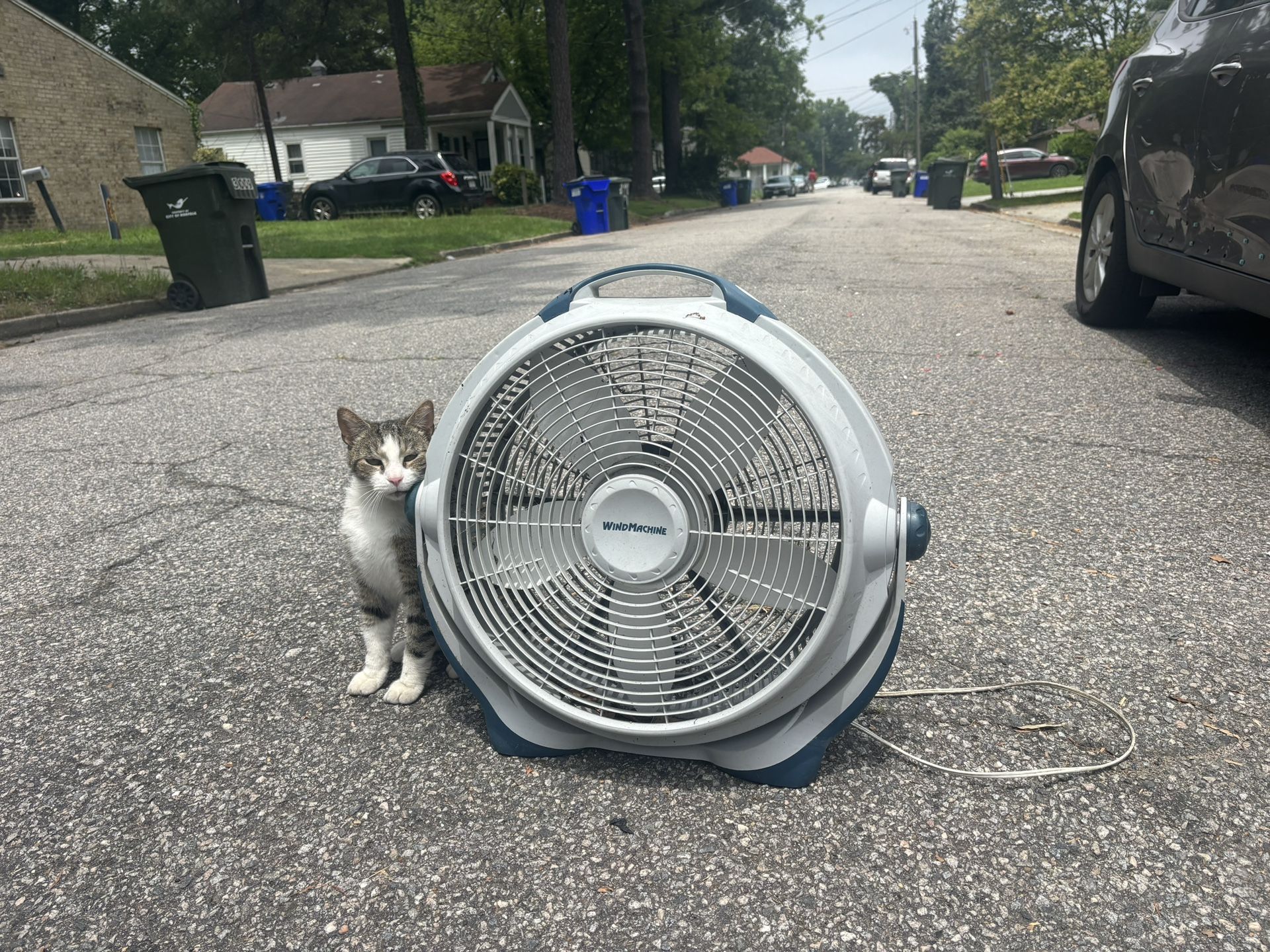Fan