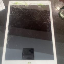 iPad Mini WiFi & Cellular Unlocked 