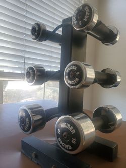 Weider 6pc chrome dumbell set