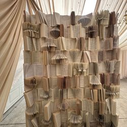 Book Backdrop