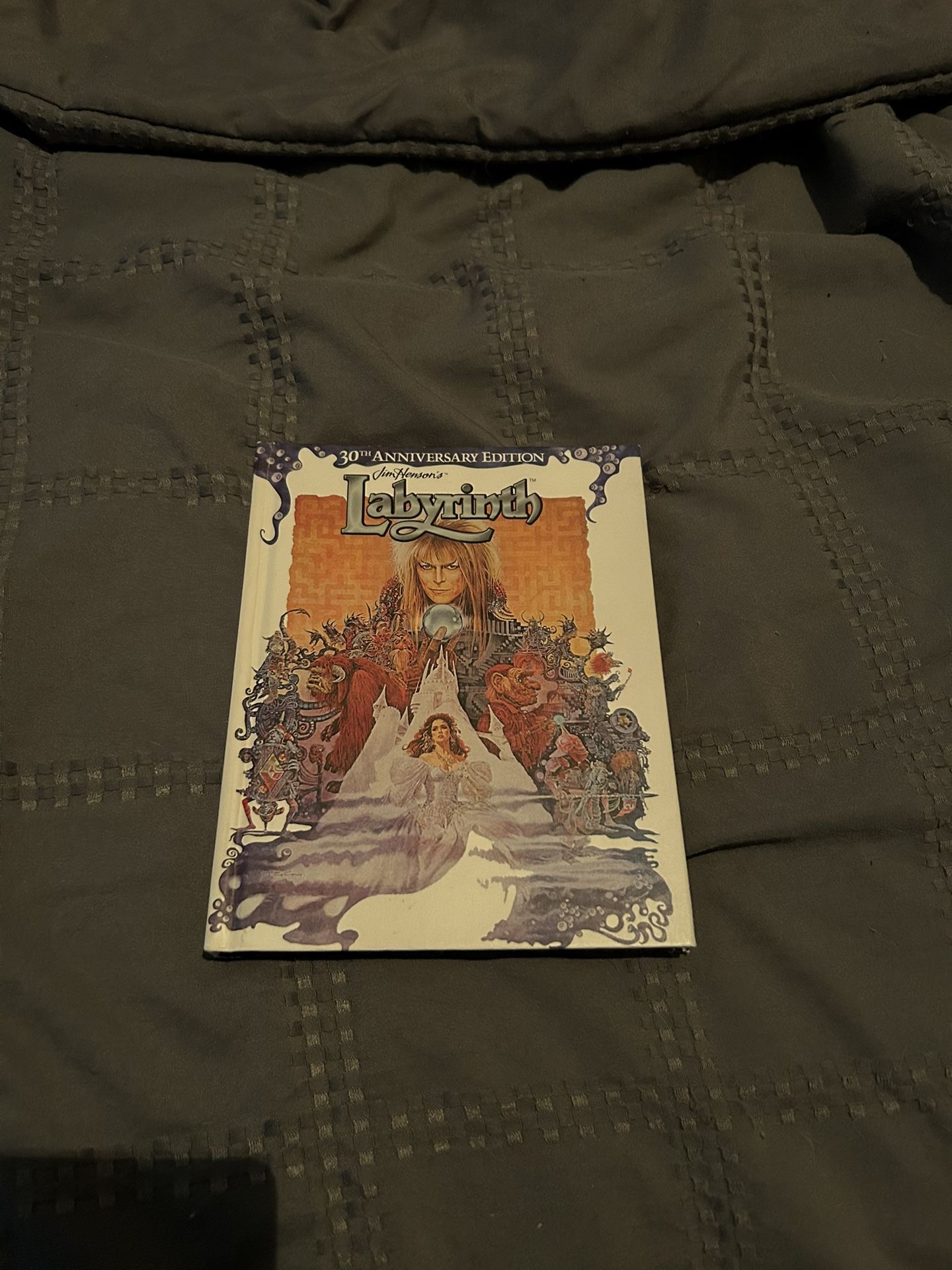 Mint Condition 30th Anniversary Edition The Labyrinth DVD