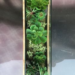 Artificial Succulents With Wood & Glass Base