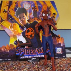 TASM 2 Spider-Man Cosplay 