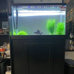 30 GALLON FISH TANK + STAND