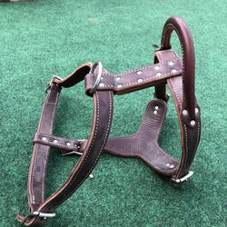 Large Leather Harness 