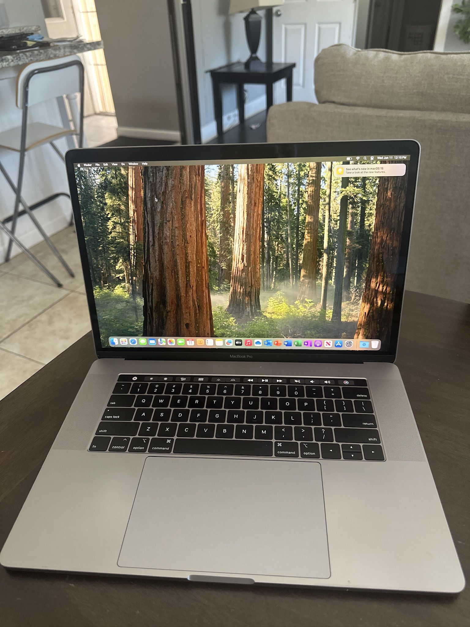 APPLE MACBOOK PRO 15” INTEL 6 CORE i7 16GB RAM 256GB SSD! LOADED!