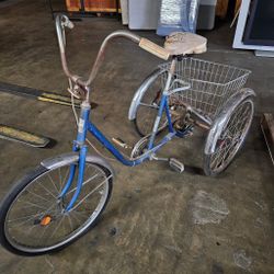 Three Wheel Tricycle