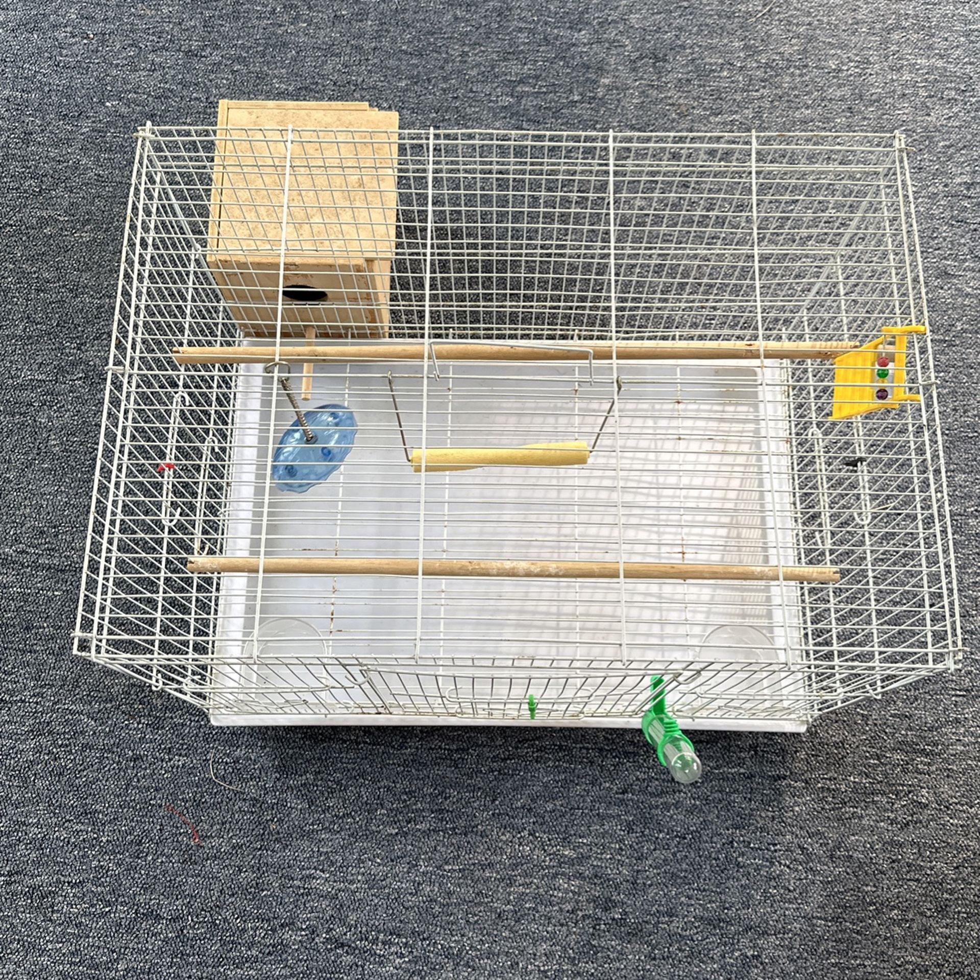 Bird Cage
