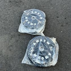Brand New 10 Pound Matching Olympic Weights For $30