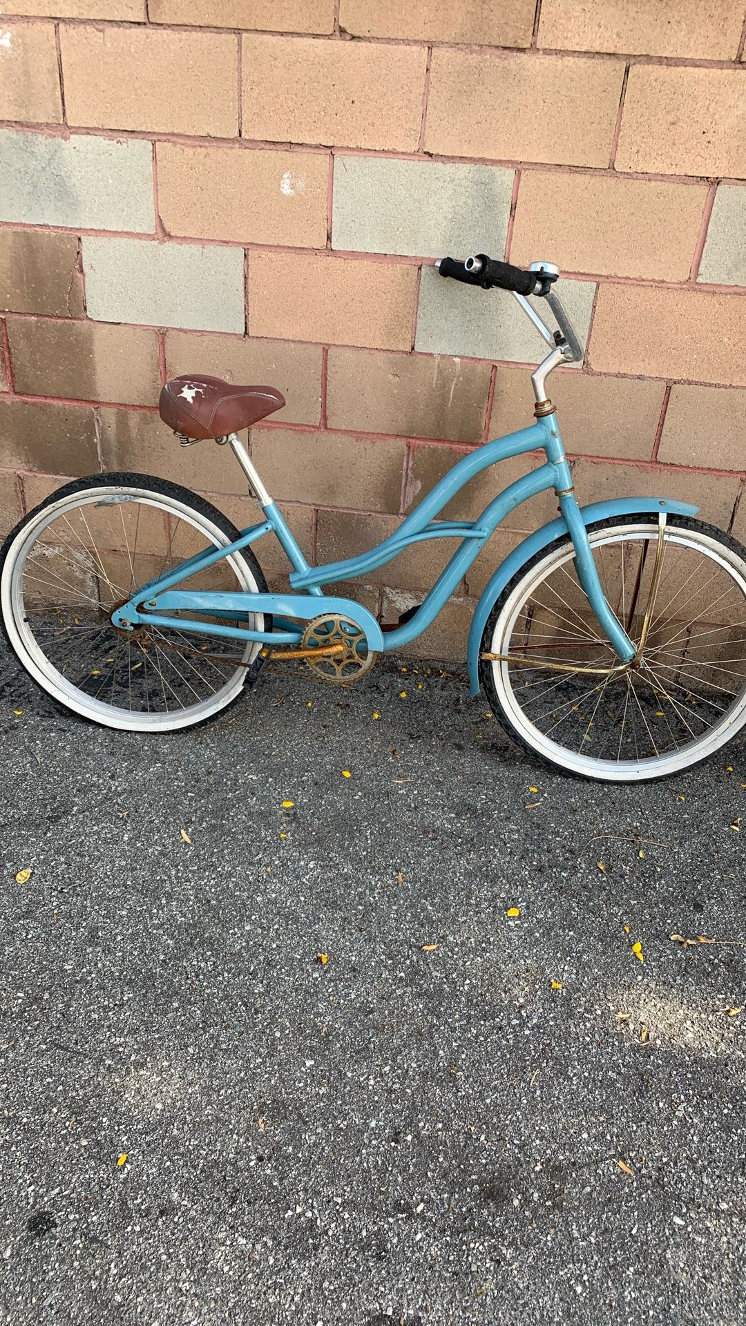 Beach Cruiser