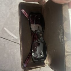Coach Sunglasses 
