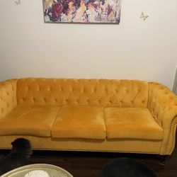 Yellow Velvet Rolled Arm Couch 