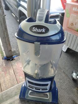 Shark