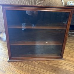 Figurine Display Case