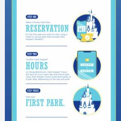 Disney Hopper Ticket For 8/9/25