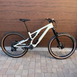 2023 Specialized Stumpjumper Evo Expert (Large/S4)