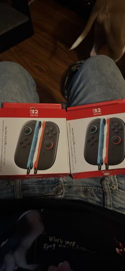 Joy con 2