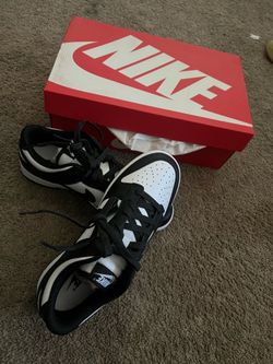 Nike retro low dunks