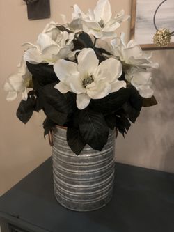 Magnolia Pot 