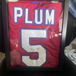 Kelsey Plum jersey