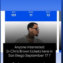 Chris Brown Ticket 