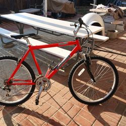 Diamond Back Mountain Bike 26in