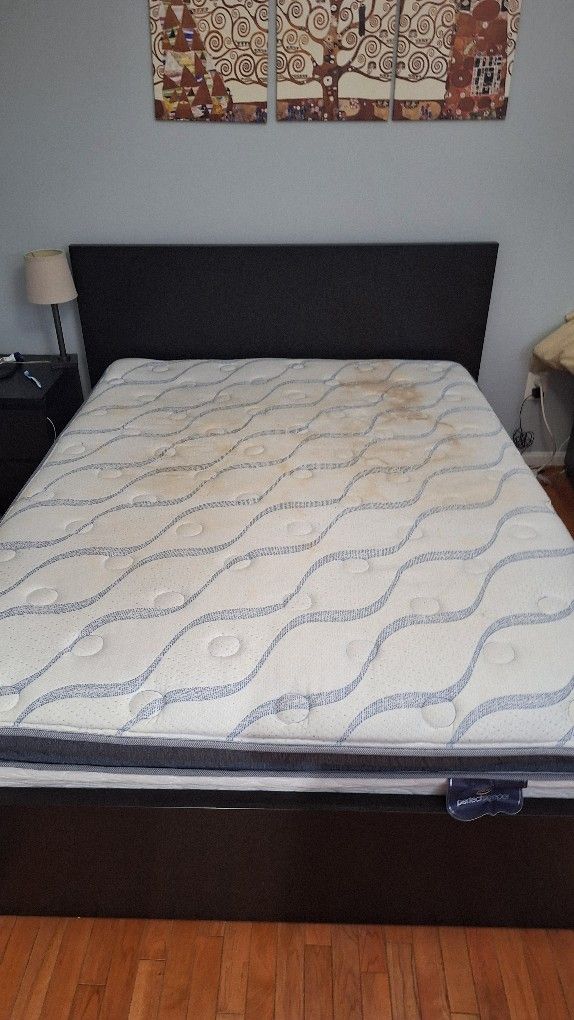 Queen Matress