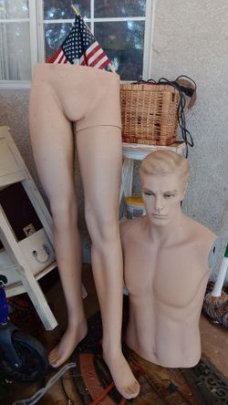 Male mannequin head torso and legs