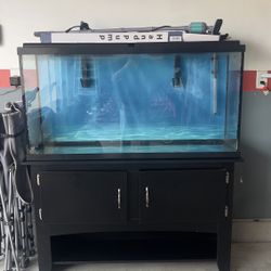 65 Gallon Aquarium