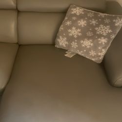 Gray Leather Couch
