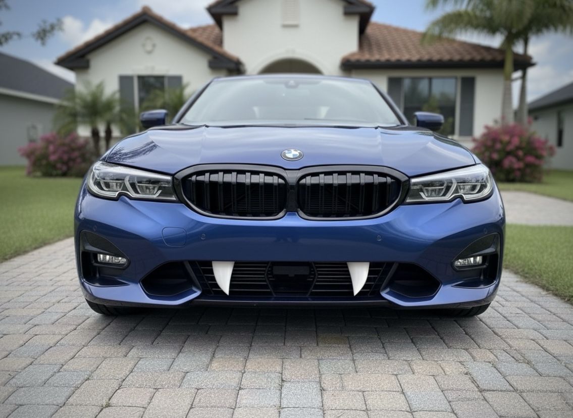 π§ββοΈ CARCULA Car Fangs π§ββοΈ