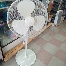 Oscillating Stand Up Fan