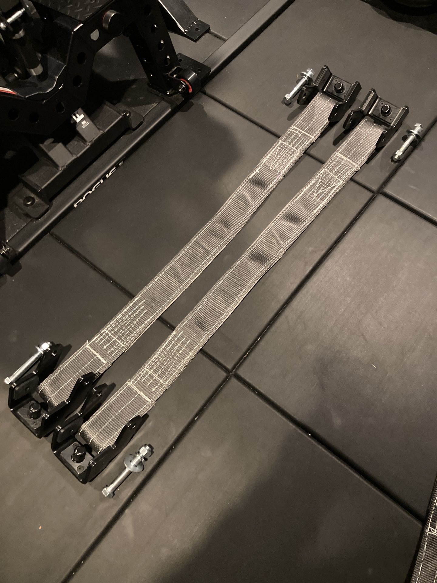 Rogue Fitness Monster Safety Strap System 2.0 - 43” Depth