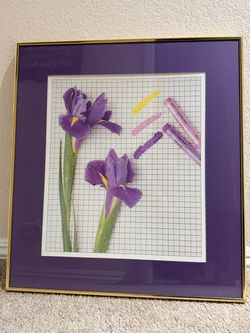 Framed Iris Floral Art Print - Peñasquitos