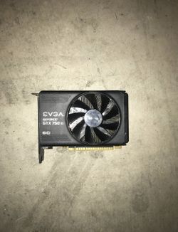 Evga GeForce 750 ti graphics card Superclocked SC Edition. Works great.