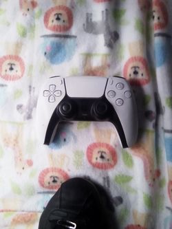 PS4 Controller 