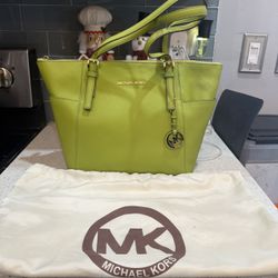 Michael Kors Purse 👜 (excellent condition)