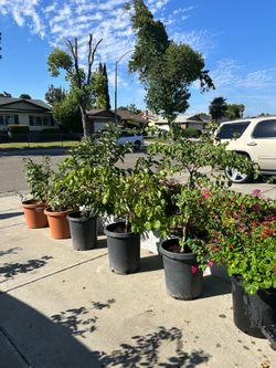 Yard sale!!