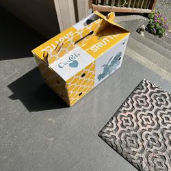 FREE cardboard Cat Carrier