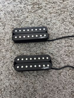 Legator 8 String Pickups