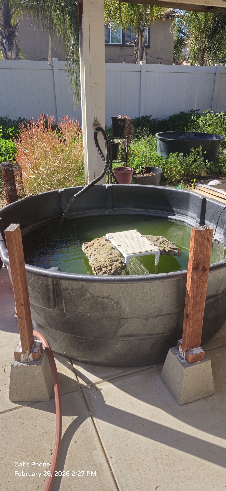 300 gallon livestock water tank