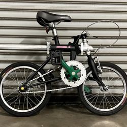 GIANT 16 Inches Folding Bike